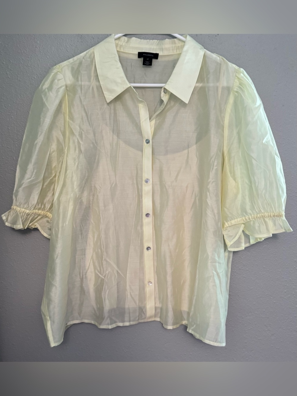 Halogen Pale Yellow Sheer Button-Down Sheer Blouse with Camisole